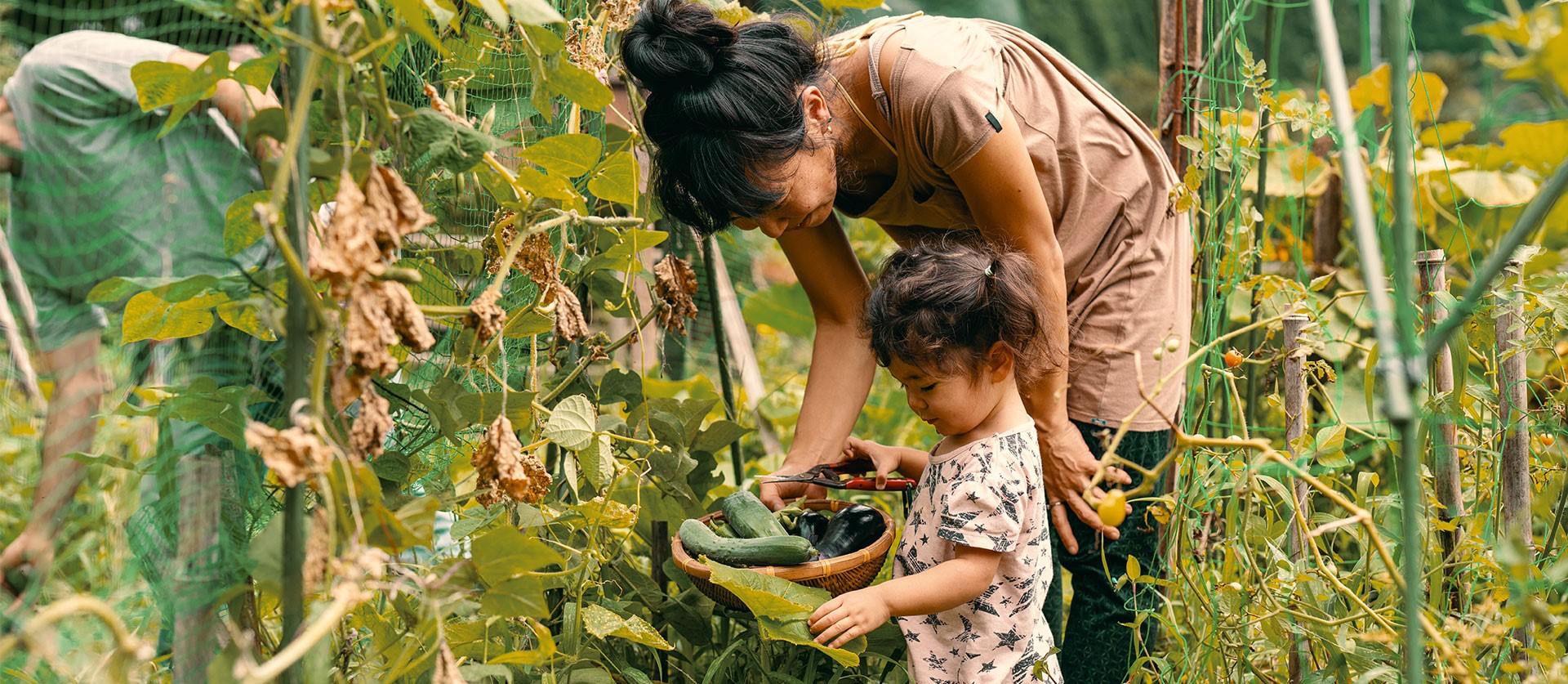een oma en haar kleinkind die groente aan het plukken zijn