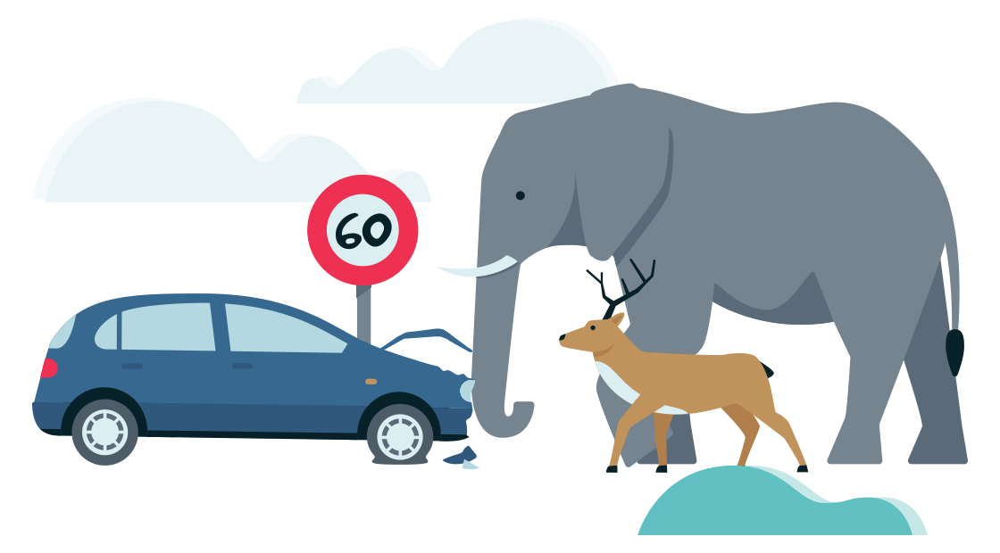 een auto botst frontaal tegen een olifant en antilope op