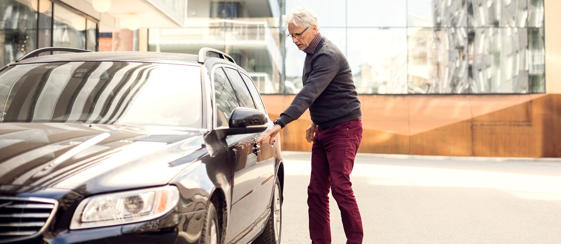 useful description of image if informative and not decoration only.