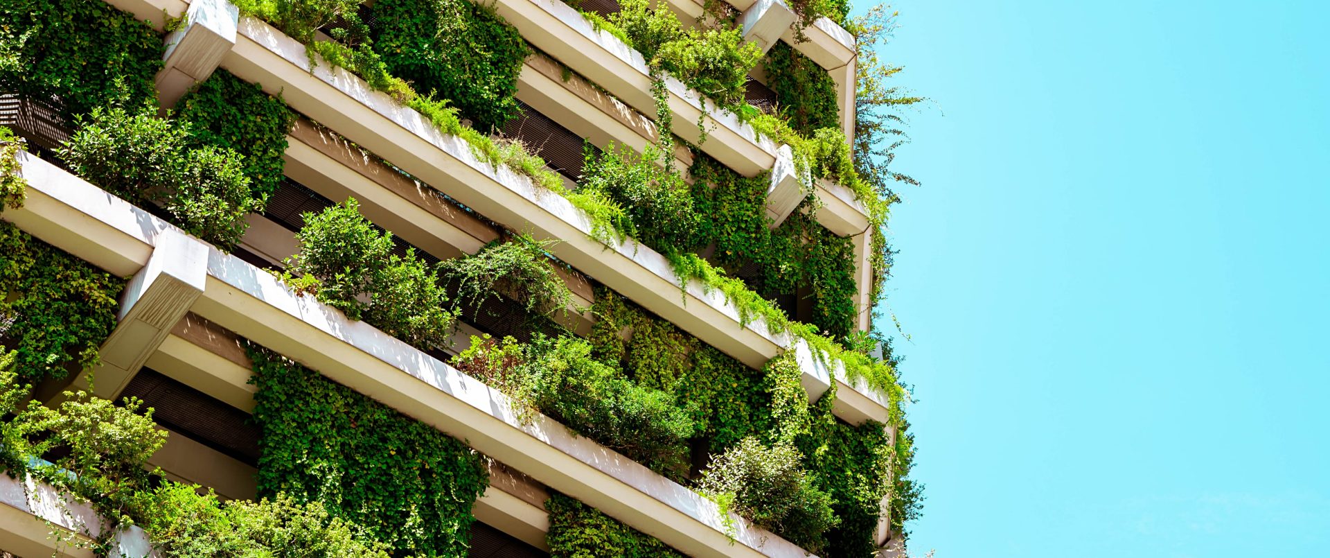 een foto van een balkon met groene beplanting